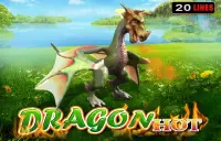 Dragon Hot Logo