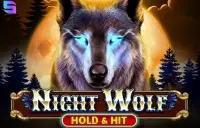 Night Wolf - Hold & Hit Logo