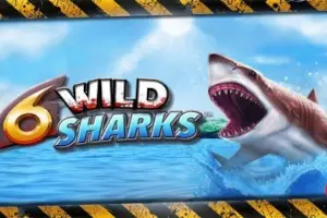 6 Wild Sharks Logo
