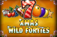 Wild Forties Xmas Logo