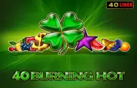 40 Burning Hot Logo