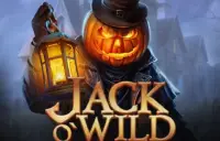 Jack O'Wild Logo