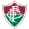 Fluminense Football Club Logo