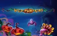 Wild Pumpkins Logo