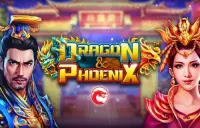 Dragon & Phoenix Logo
