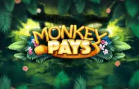 Monkey Pays Logo