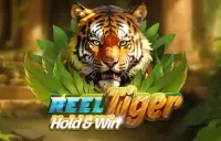Reel Tiger Logo
