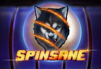 Spinsane Logo