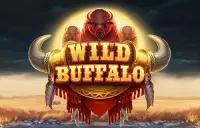 Wild Buffalo Logo