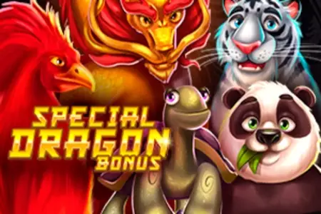 Special Dragon Bonus Logo