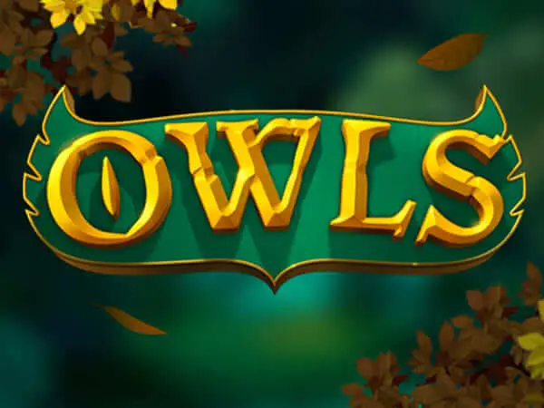 Owls Logo