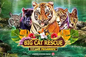 Big Cat Rescue Megaways Logo