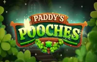 Paddy's Pooches Logo