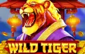 Slot Wild Tiger von BGaming