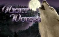 Night Wolves Logo