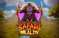 Safari of Wealth Logo