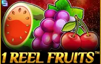 1 Reel Fruits Logo
