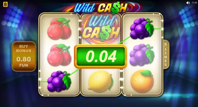 Wild Cash, Slot