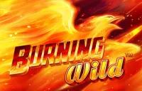 Burning Wild Logo