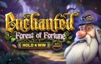 Enchanted: Forest of Fortune Logo