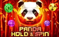 Panda Hold & Spin Logo