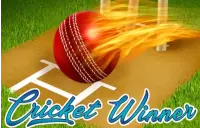 Cricket Winner Logo