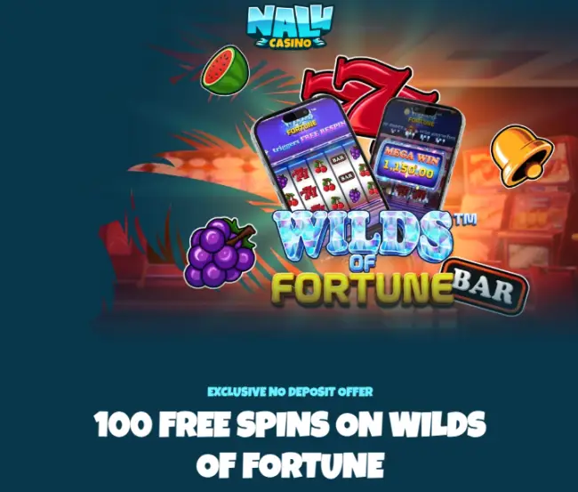 Nalu Casino Test and Bonus