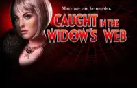 Caught In The Widow's Web Logo
