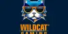 Wildcat Gaming Logo