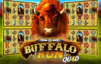 Buffalo Run Quad Logo