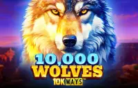 10,000 Wolves 10K Ways Logo