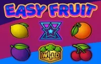 Easy Fruit Logo