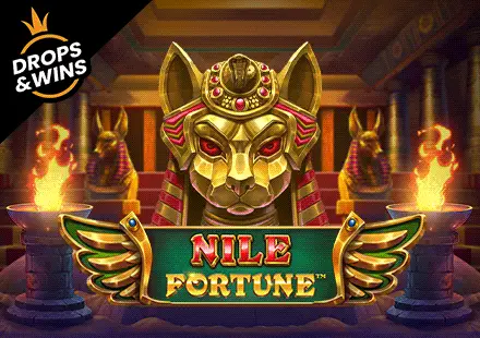 Nile Fortune Logo