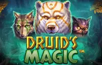Druid's Magic Logo