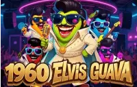 1960 Elvis Guava Logo