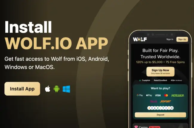Wolf Casino Test