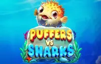Puffers Vs Sharks Logo