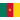 Kamerun Logo