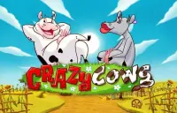 Crazy Cows Logo