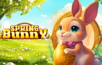Spring Bunny Logo