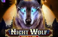 Night Wolf - Hold & Hit Logo