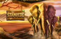 Stampede Logo