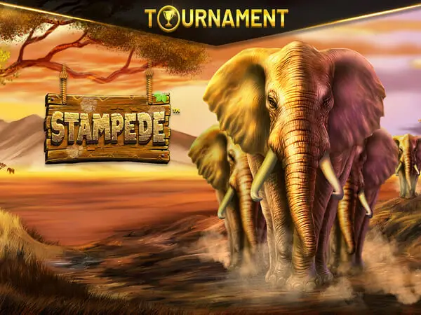 Stampede Logo