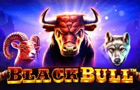 Black Bull Logo