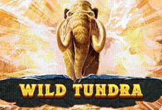Wild Tundra Logo