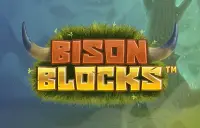 Bison Blocks Logo