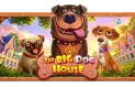 Freispiele für The Big Dog House