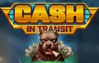 Cash in Transit Logo