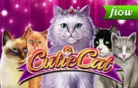 Cutie Cat Logo
