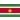 Suriname Logo